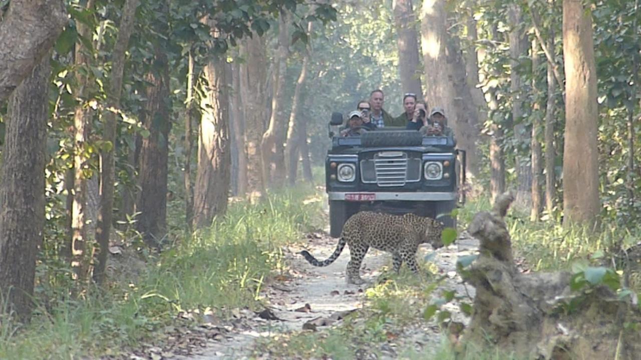 Tiger Tops Karnali Lodge バルディヤ エクステリア 写真