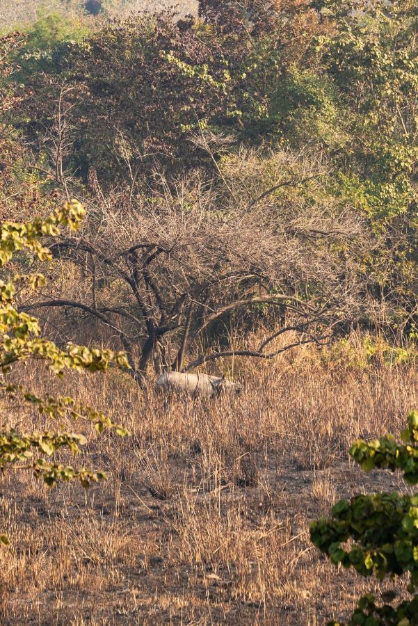 Tiger Tops Karnali Lodge バルディヤ エクステリア 写真
