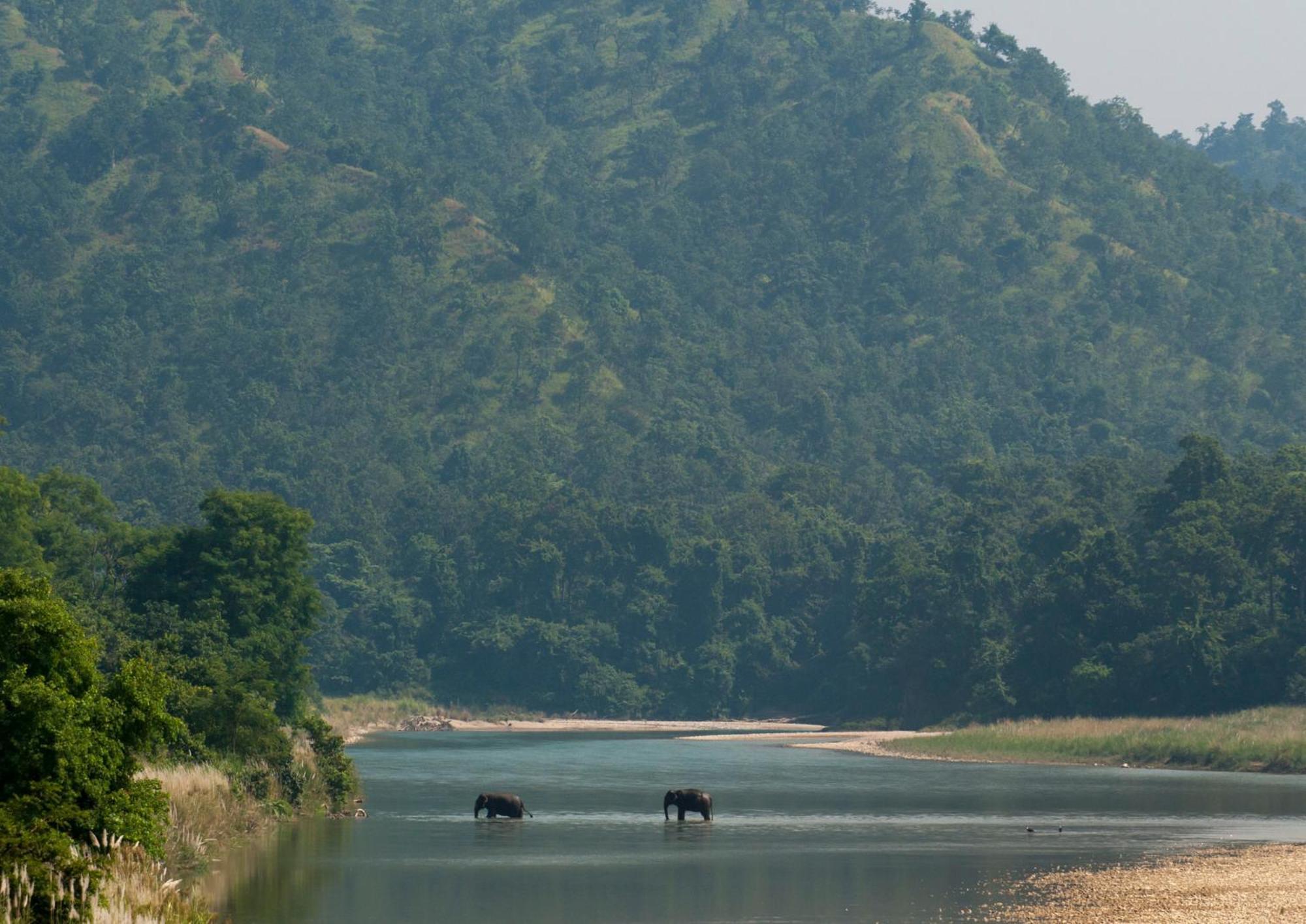 Tiger Tops Karnali Lodge バルディヤ エクステリア 写真