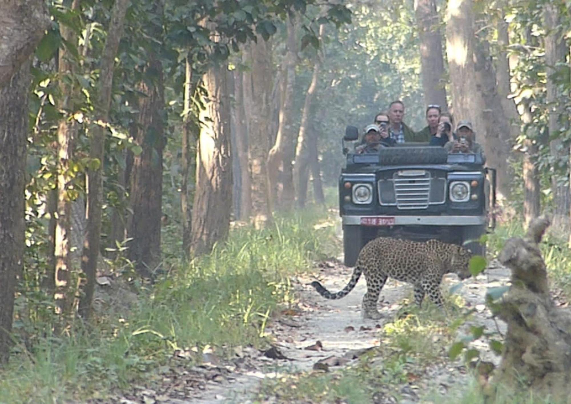 Tiger Tops Karnali Lodge バルディヤ エクステリア 写真